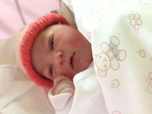 2dc85fb3909198364cfacbafa11caf53