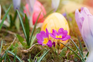 easter-674212_1280