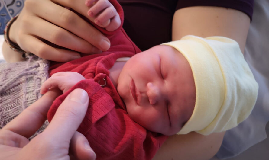 Nachwuchs Häberling