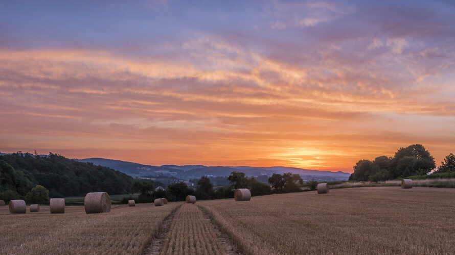 Sommerprogramm: Jetzt Daten notieren!