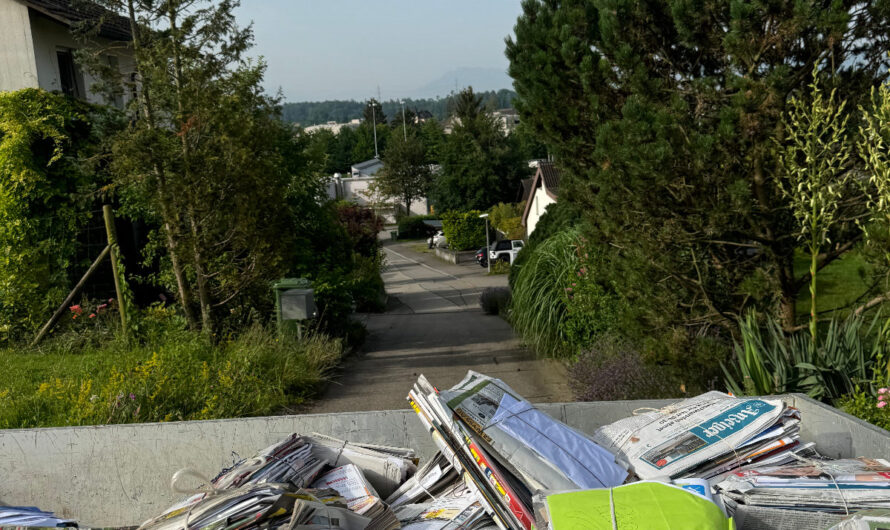 Papiersammeln – für einmal schien die Sonne!